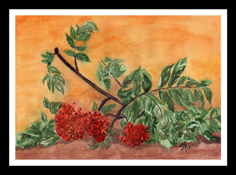 Ash Raspberry Ashberries by Luzblanca on DeviantArt