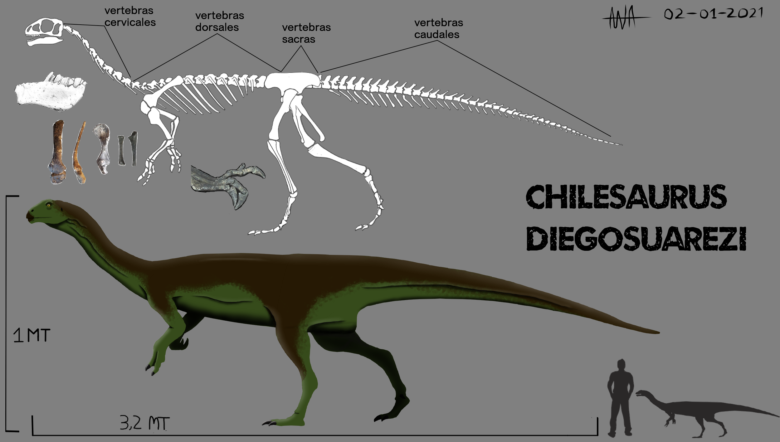 Chilesaurus by Agusaurus207 on DeviantArt