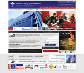 Another CCIR website mockup