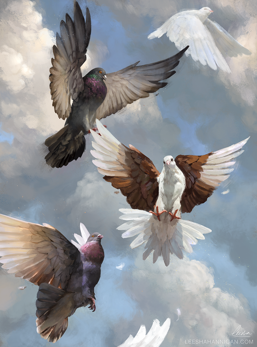 Pigeons in Flight