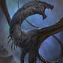 Black Wyvern