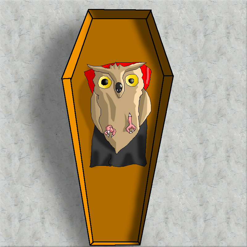 Vampire owl in the coffin