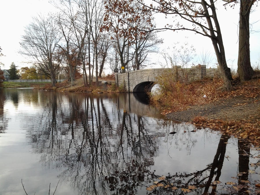 Bridge and Water