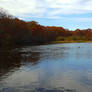 Wooster Pond