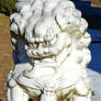 Oriental Lion