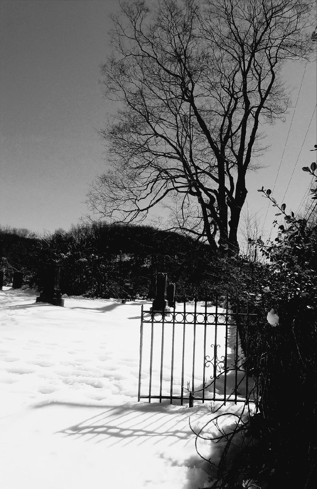 Gate to Gunntown Cemetery