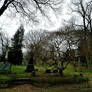 White Plains Cemetery