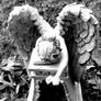 Tiny weeping angel