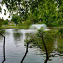 Lake in Kensico