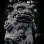 Oriental Lion