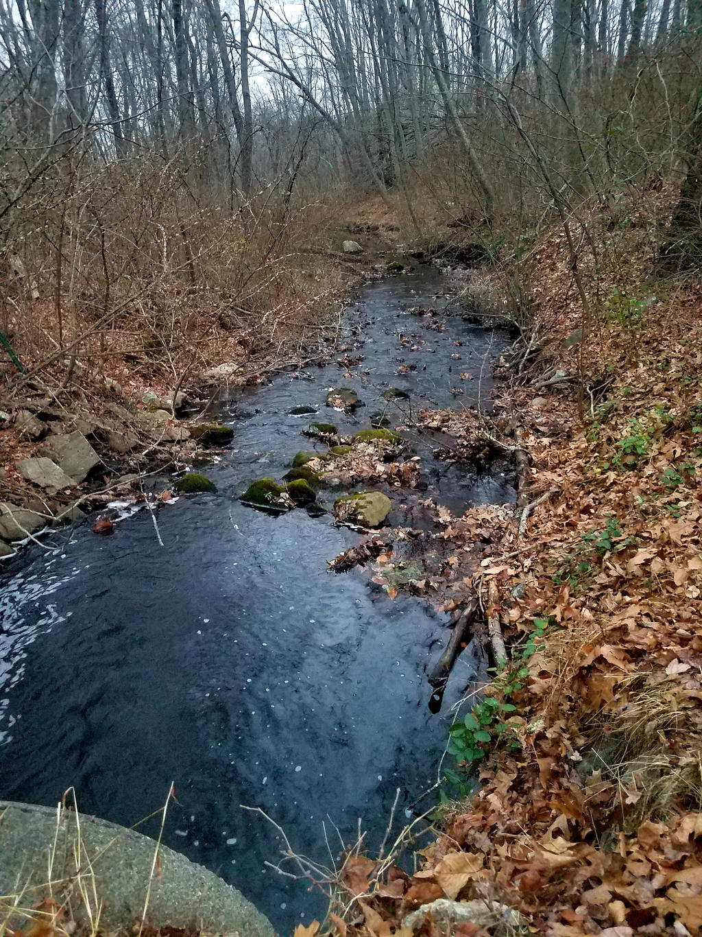 Small Brook Small Brook by GUDRUN355 on DeviantArt