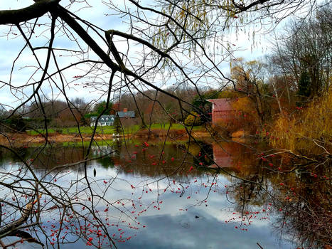 Lake at Oak Lawn