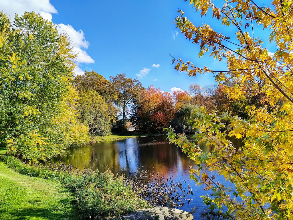 Image of November by GUDRUN355 on DeviantArt