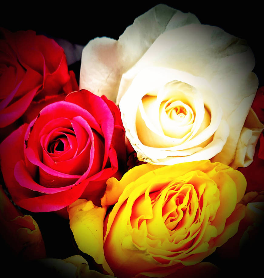 February Roses Graphics Roses for February by GUDRUN355 on DeviantArt