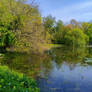 Pond in Spring