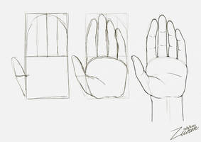 Draw a hand with schmoedraws Practice 2021