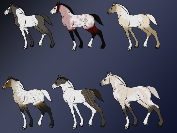 Draft Adoptables All Taken