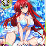 252201102 - [Silver World IV] Rias Gremory (King)