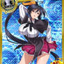 1172 - [Thunder Priestess] Himejima Akeno (Queen)