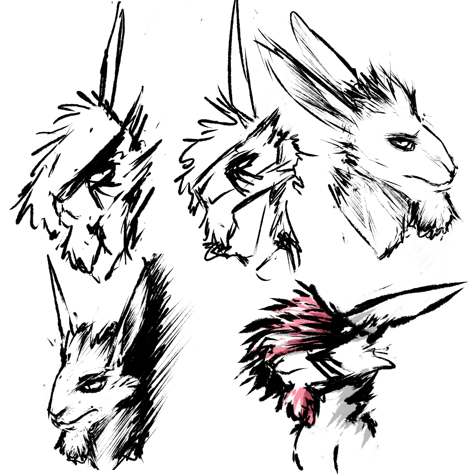 Rabbits