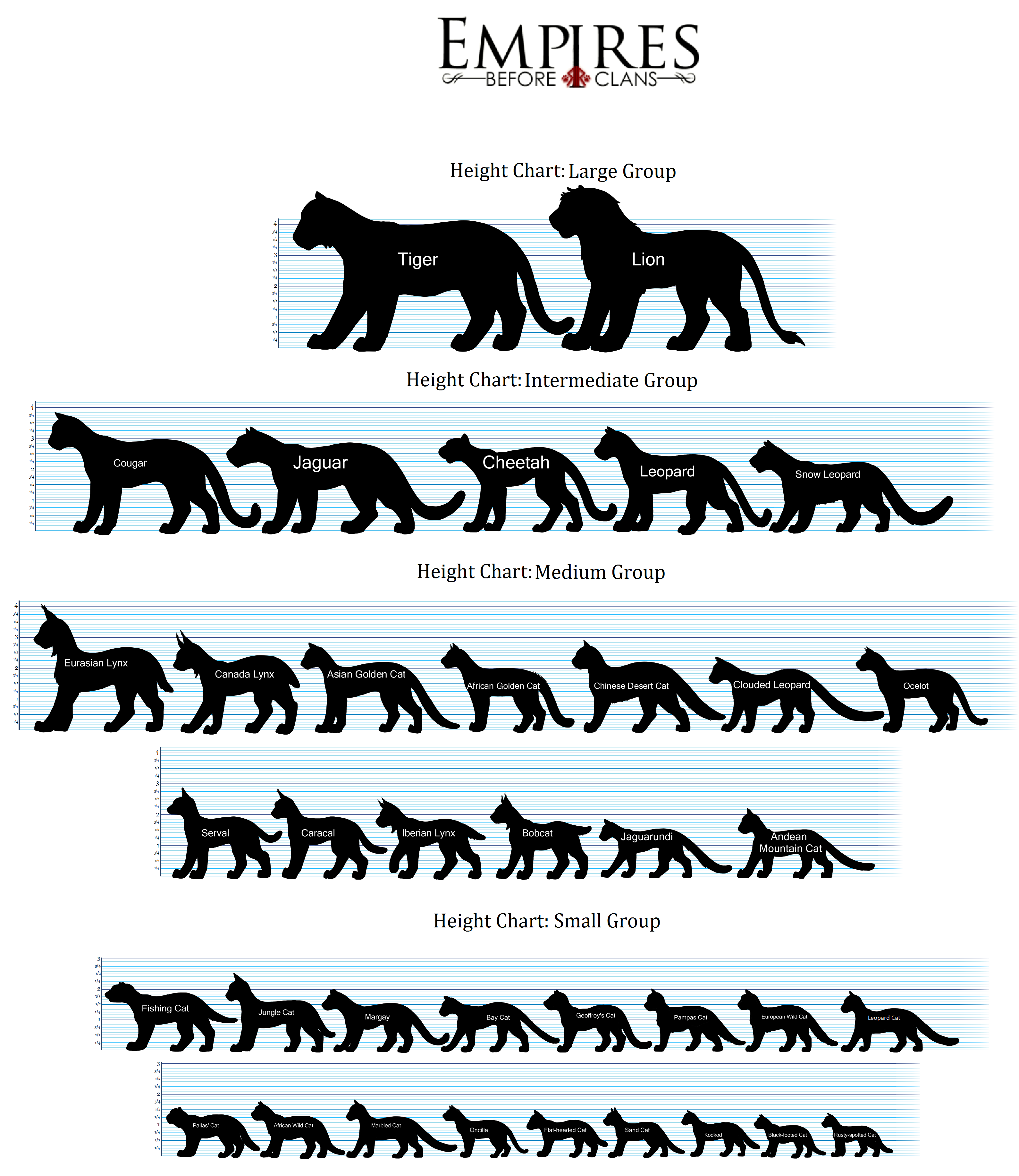 Cat sales size chart