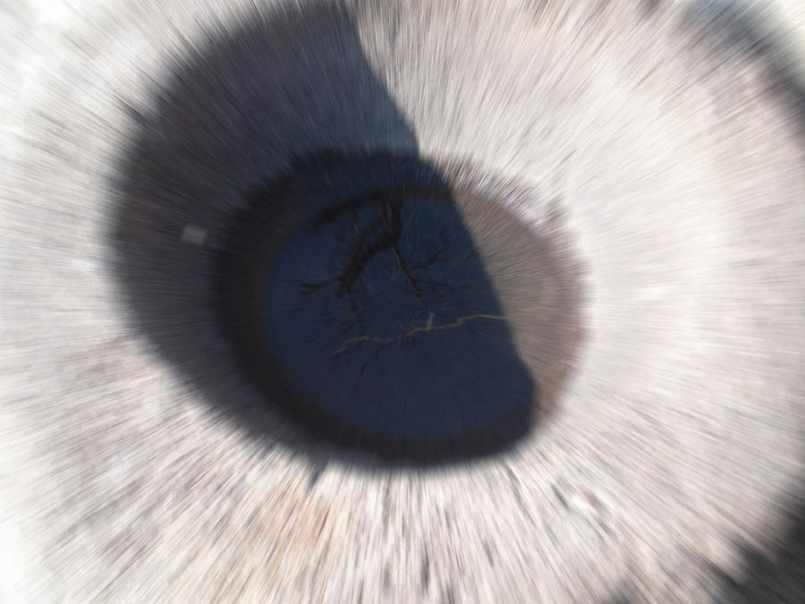 furry rock by ahmeyt05 on DeviantArt