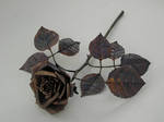 copper rose by knivesandroses