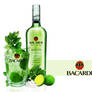 Bacardi Mojito Wallpaper