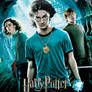 Fake poster deathly hallows
