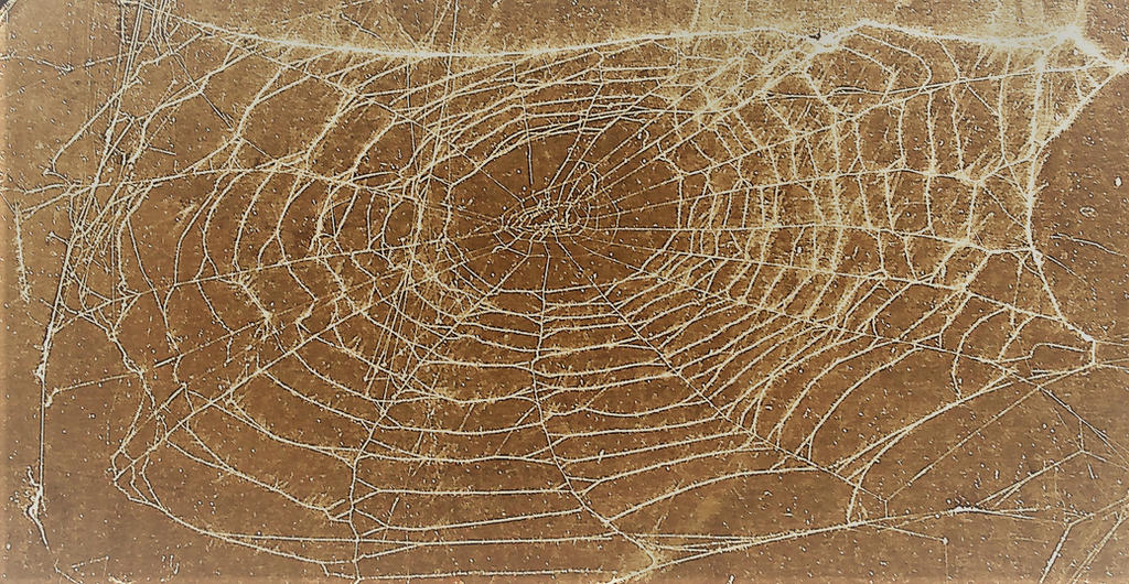 Entangled Web Texture Entanglement by Smoooovey on DeviantArt