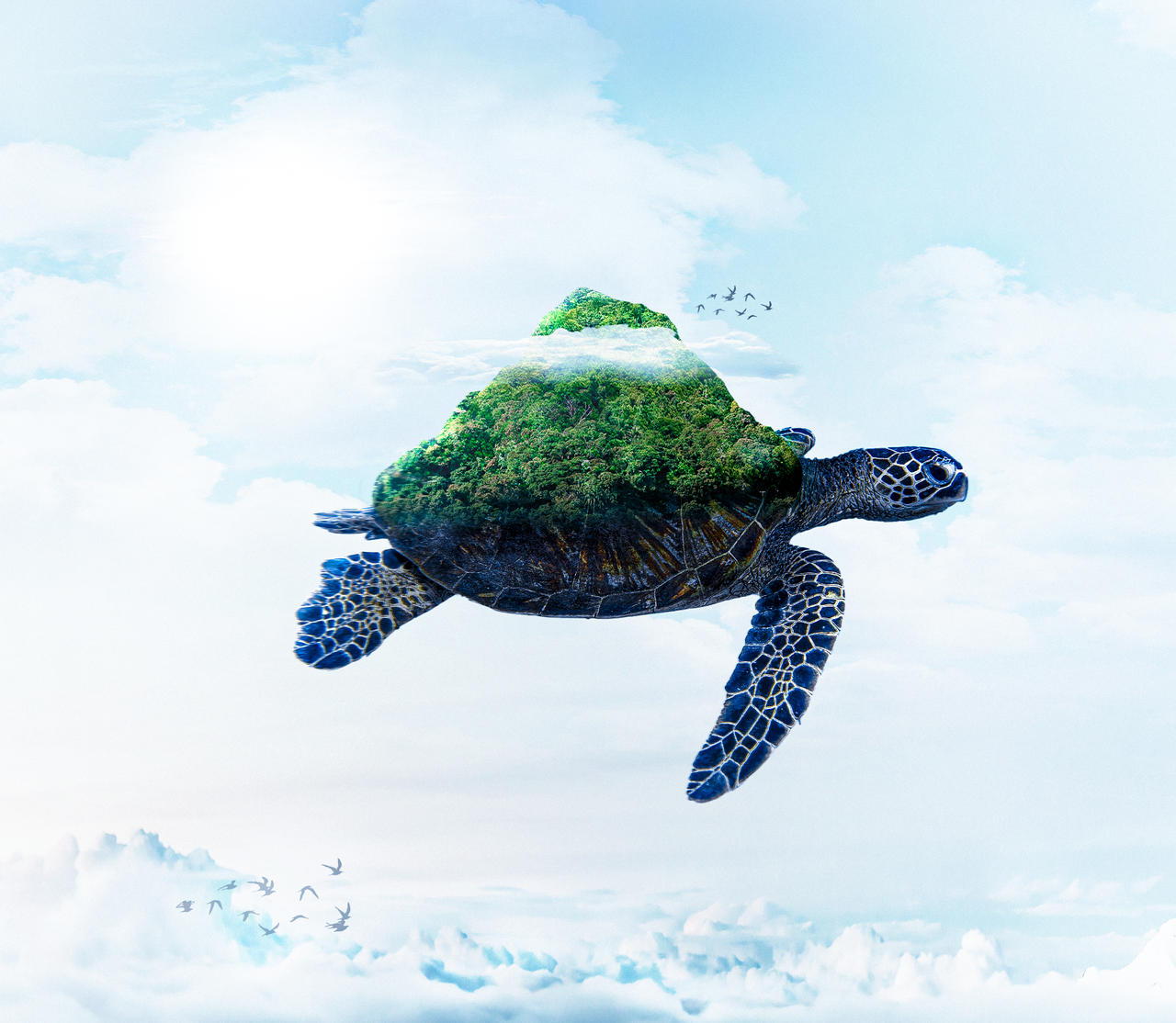 Flying Blue Turtle FLYING TURTLE by CarolinaMorillo on DeviantArt