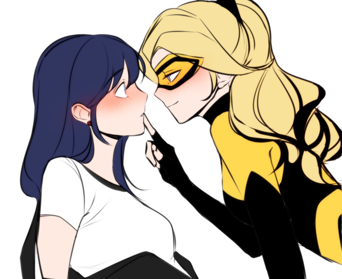 Miraculous ladybug Marinette n catnoir by Gamnamu on DeviantArt