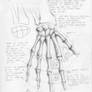 Skeletal Hand