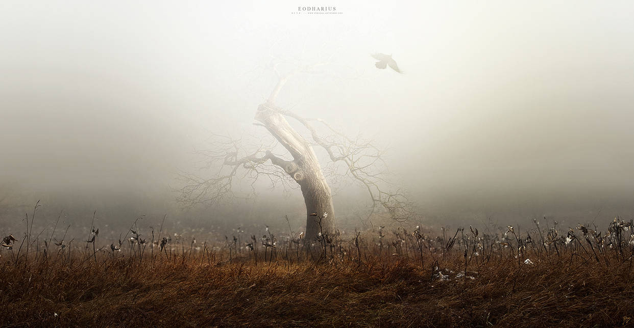 Eodharius by Pyrogas-Artworks