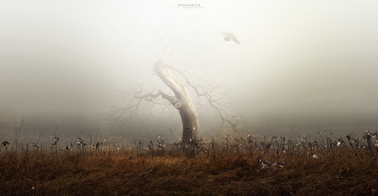 Eodharius by Pyrogas-Artworks