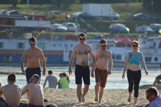 Reservuar Dogs on the Beach