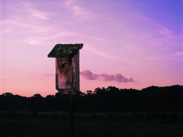 Sunrise Birdhouse