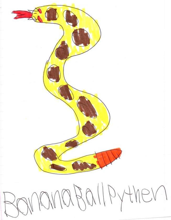 banana ball python by Kevincarlsmith on DeviantArt