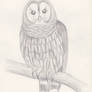 Lilith the Owl