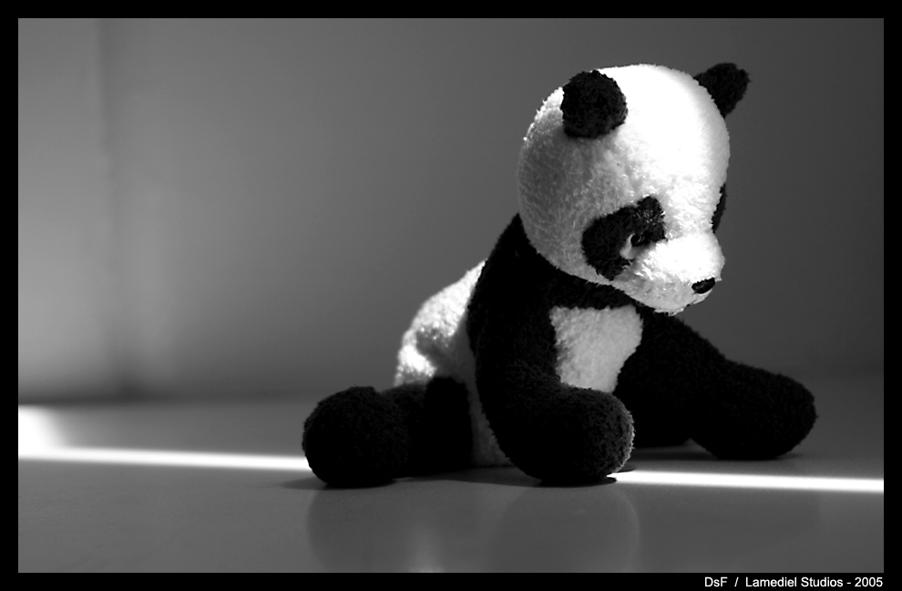 To Live and Die a Panda