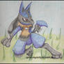 Re: Lucario