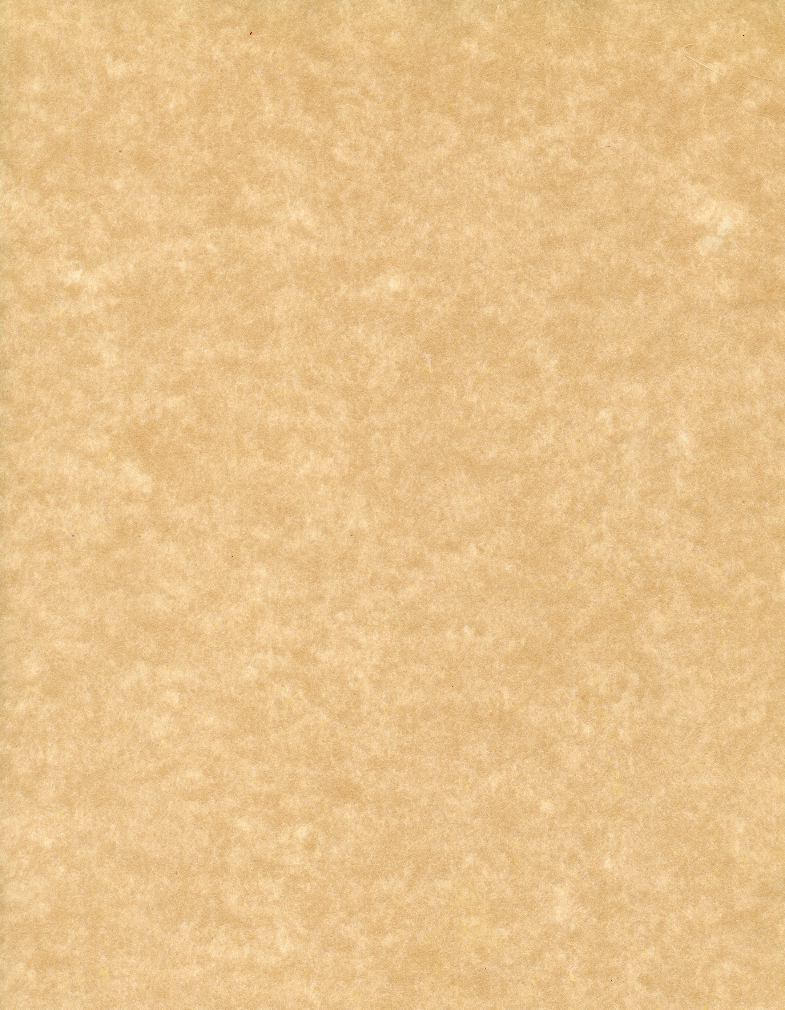 Parchment Texture