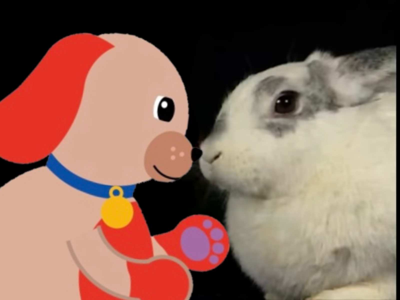 Suarez Rabbit Baby Einstein Rabbit at Margaret Suarez blog
