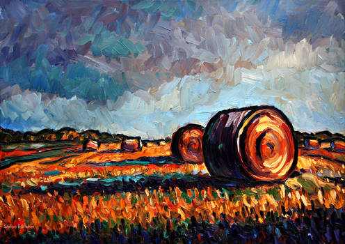 Fields with cylindrical Bales of Straw at Sundown
