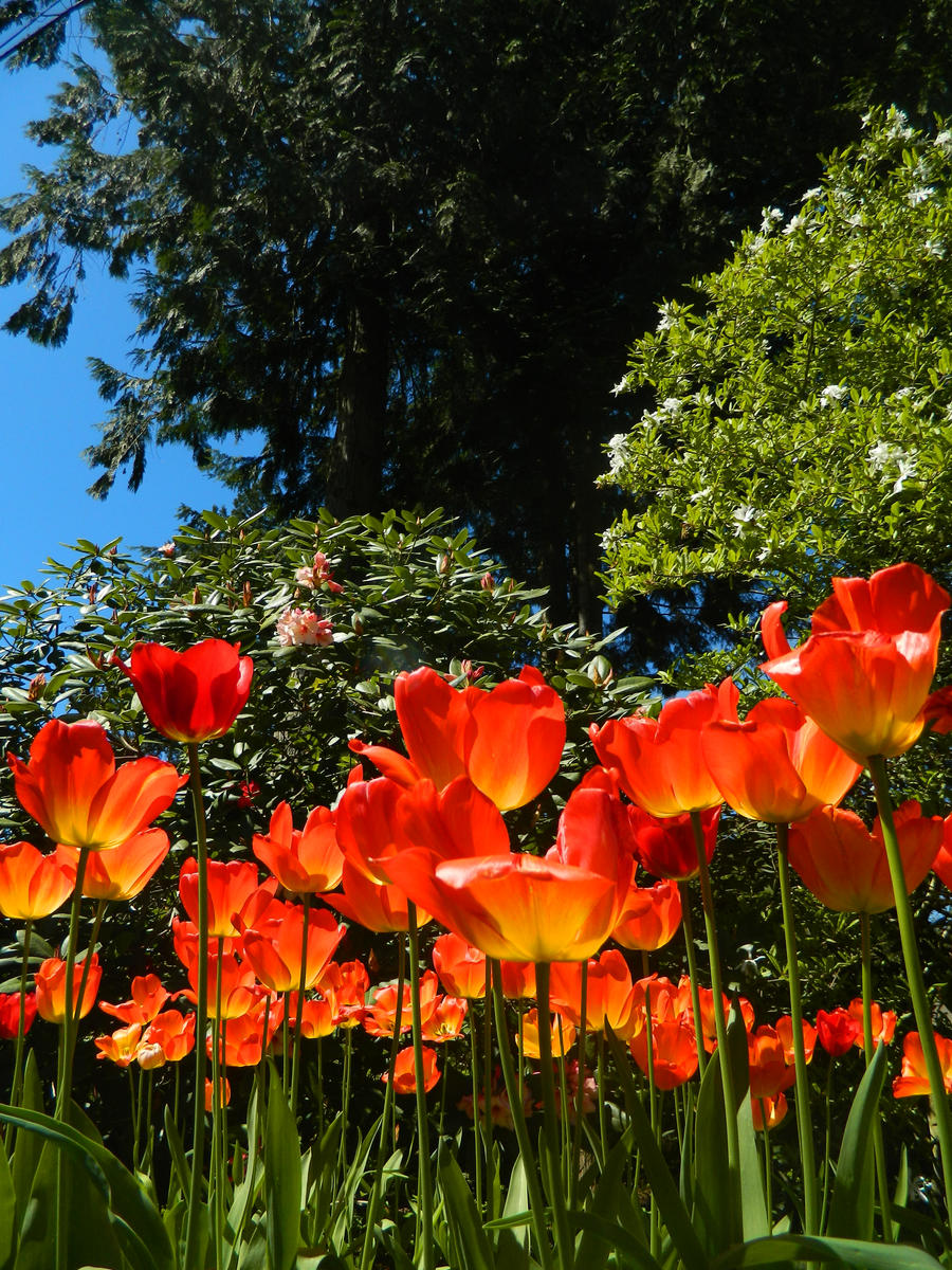 Bright red~