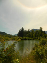 Golden land and a rainbow~