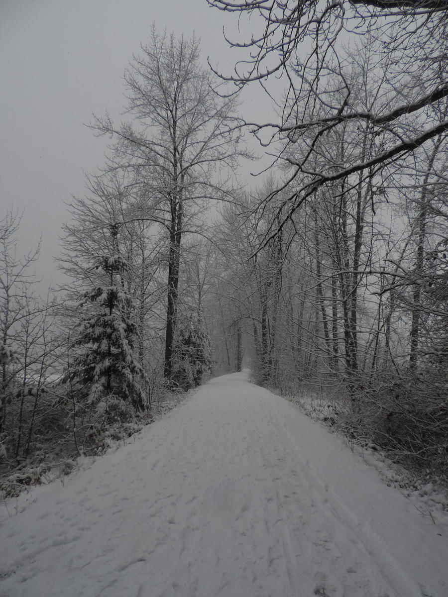 Long snowy trail