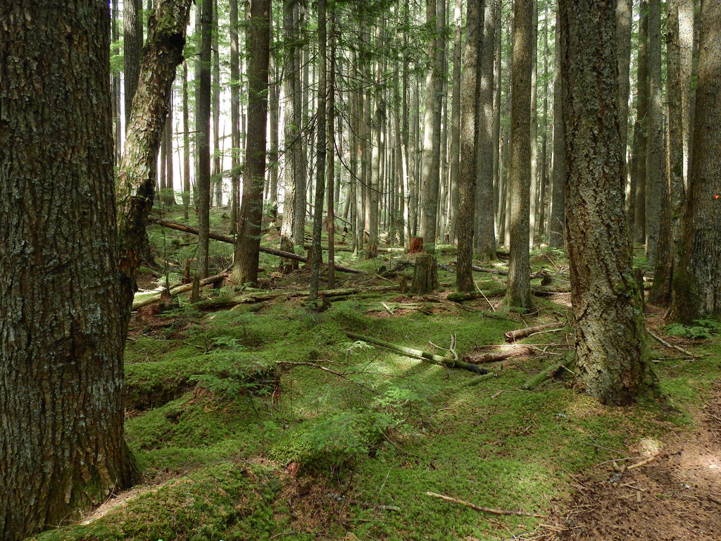 Vedder Mountain~8/26/2015~3