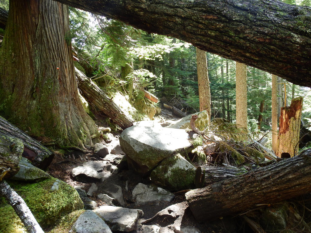 lindeman lake~9/6/2015~5