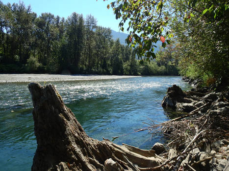 Blue Herron park / Vedder river~8/23/2016~9